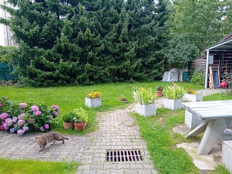 Produkt nr 4